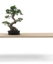 Slim Table