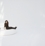 softseating - fanning lounger