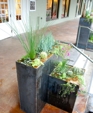 CORTEN Weathering Steel Planters