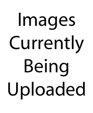 Image Upload Image Upload