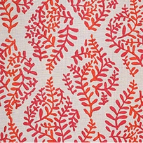Ivy Paisley Ivy Paisley
