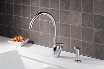 Verona single-hole Kitchen w/ Side Spray 482