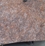 Coconut Brown