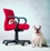 Bulldog® Management
