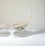 Bertoia Bird Lounge Chair and Ottoman