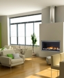 DV SERIES Direct Vent Linear gas fireplace, single sided and see through