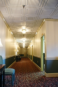 Cambridge Ceiling Tiles