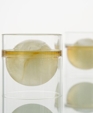 float tea cup