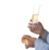 float champagne flutes