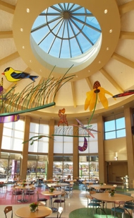 Auburn® Glass Skylights
