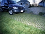 Turfstone