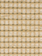 ACARA / STRAW