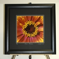 Framed Fine Art Photography Framed Fine Art Photography