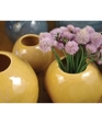 Sphere Vase By Alex Marshall Studios