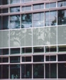 Spandrel Glass