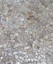 Eco-Essence®