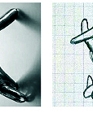 Rinocerontico Door Handle (DA0062)