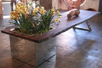 Jarrah Table