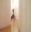 paper softwall
