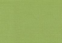Canvas Parrot