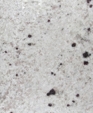 Silver Stratus (Polished)