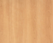 Almond Cherry T-457 Almond Cherry T-457