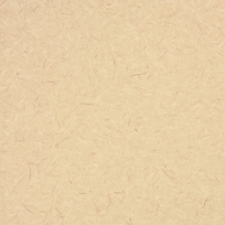 Amber Rice Paper P-993 Amber Rice Paper P-993