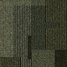 Entropy