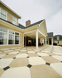 Lithochrome Tintura Stain Lithochrome Tintura Stain