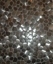 Stainless Steel Tile