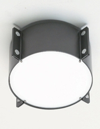 d8110 MERIDIAN Ceiling Fixture/Wall Sconce d8110 MERIDIAN Ceiling Fixture/Wall Sconce