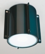 d8111 MERIDIAN Ceiling Fixture/Wall Sconce d8111 MERIDIAN Ceiling Fixture/Wall Sconce