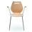 Roses Arm Chair
