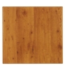 Werzalit Table Top (#321 Pinie shown)