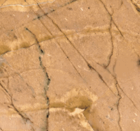 Giallo Antico Marble Giallo Antico Marble