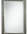 Carapace Mirror