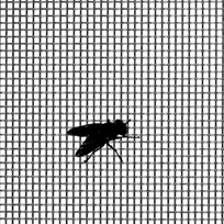Wire Mesh - Insect Screen Wire Mesh - Insect Screen