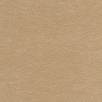 BAMBOO 212007
