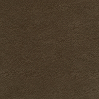 COCOA 212005