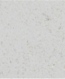 White Paloma