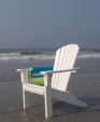 Seashell Adirondack Chair