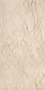 P801 Snakeskin - Shed P801 Snakeskin - Shed