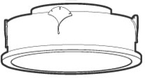 Column Leaf Ceiling