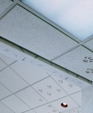 USG Ceilings Renditions Face-Routed Acoustical Ceiling Panels