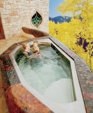 STAINLESS STEEL SPA WITH COPPER SURROUND