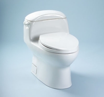 MS914114  Dorian Toilet with SoftClose seat