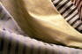 Brenta Stripe Brenta Stripe