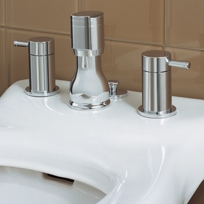 One Fixture-Mounted Bidet Fitting Faucet