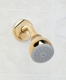 "Easy Clean" Brass Showerhead