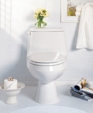 Cadet One-Piece Elongated Toilet